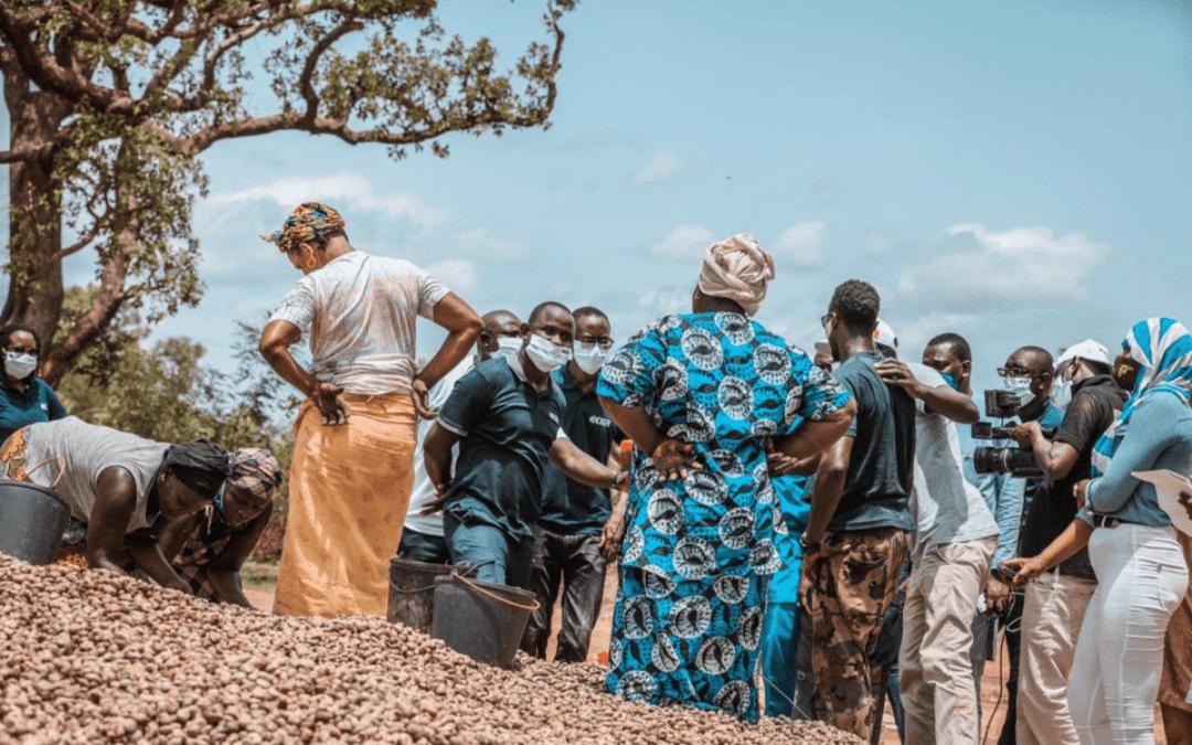 Mission de suivi du financement de la campagne d’anacarde 2020